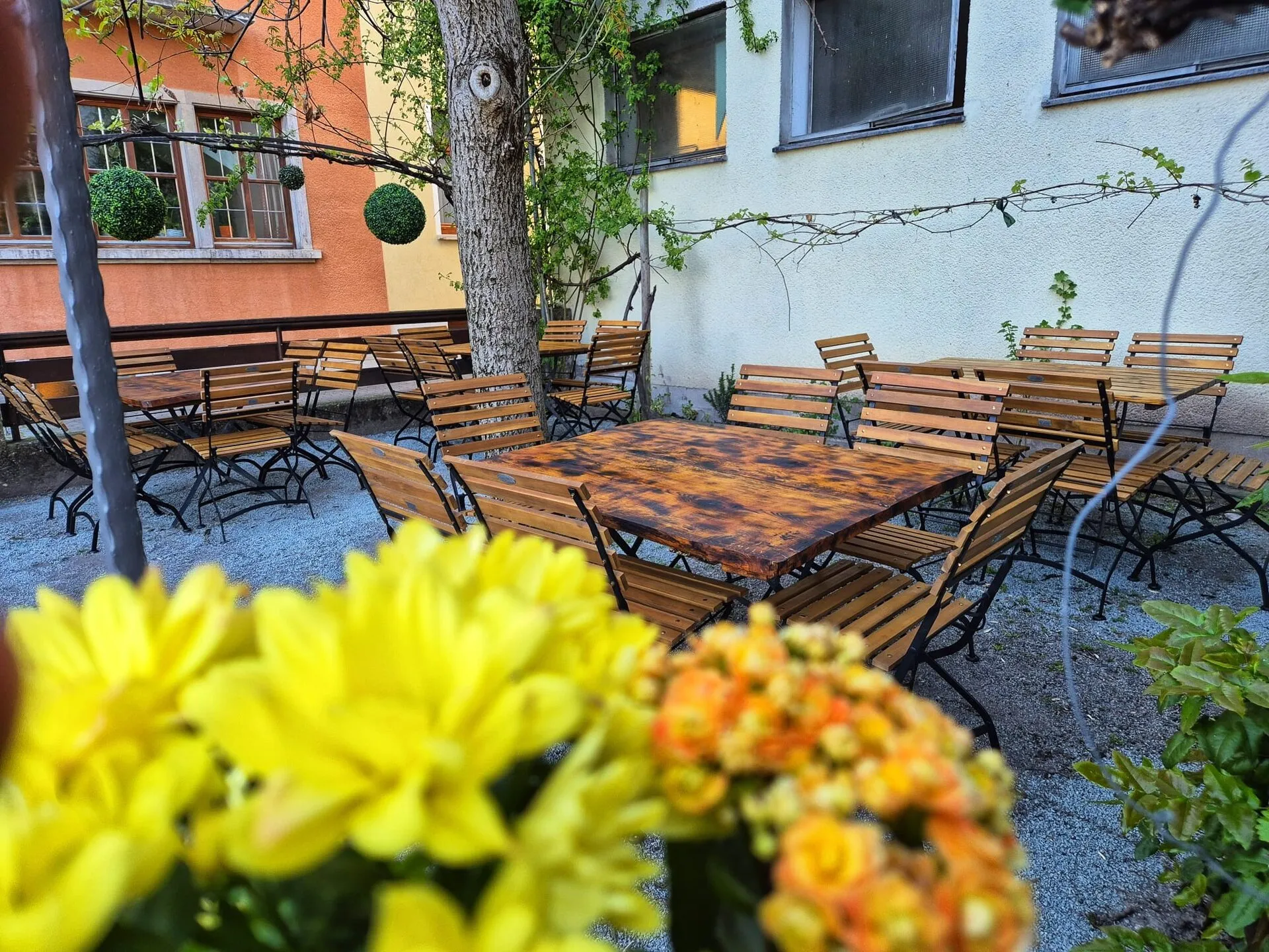 Biergarten sommer blumen