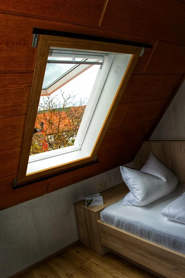 Einzelzimmer dachfenster herbstblick